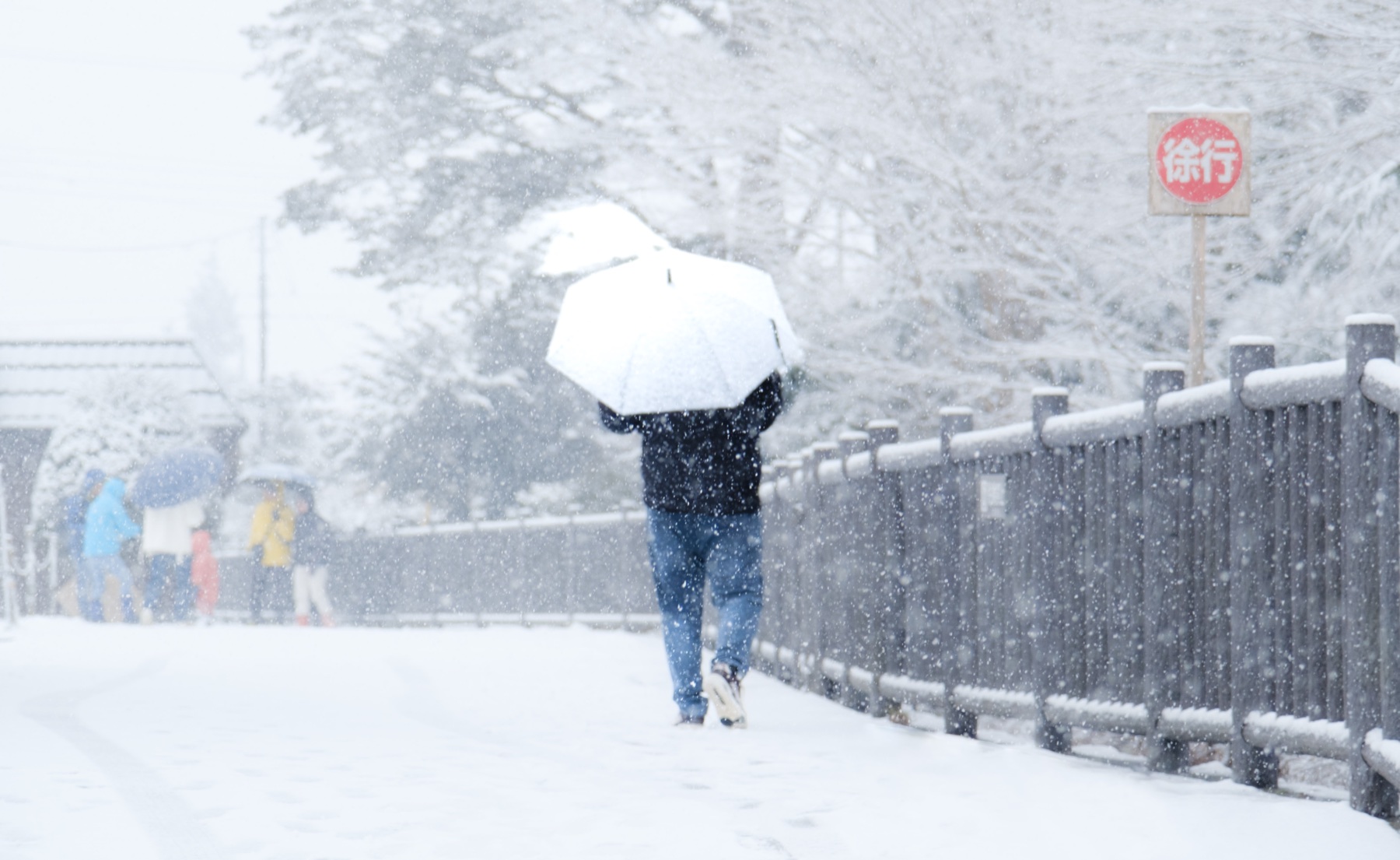 A figure under a white umbrella walking through heavy snowfall
