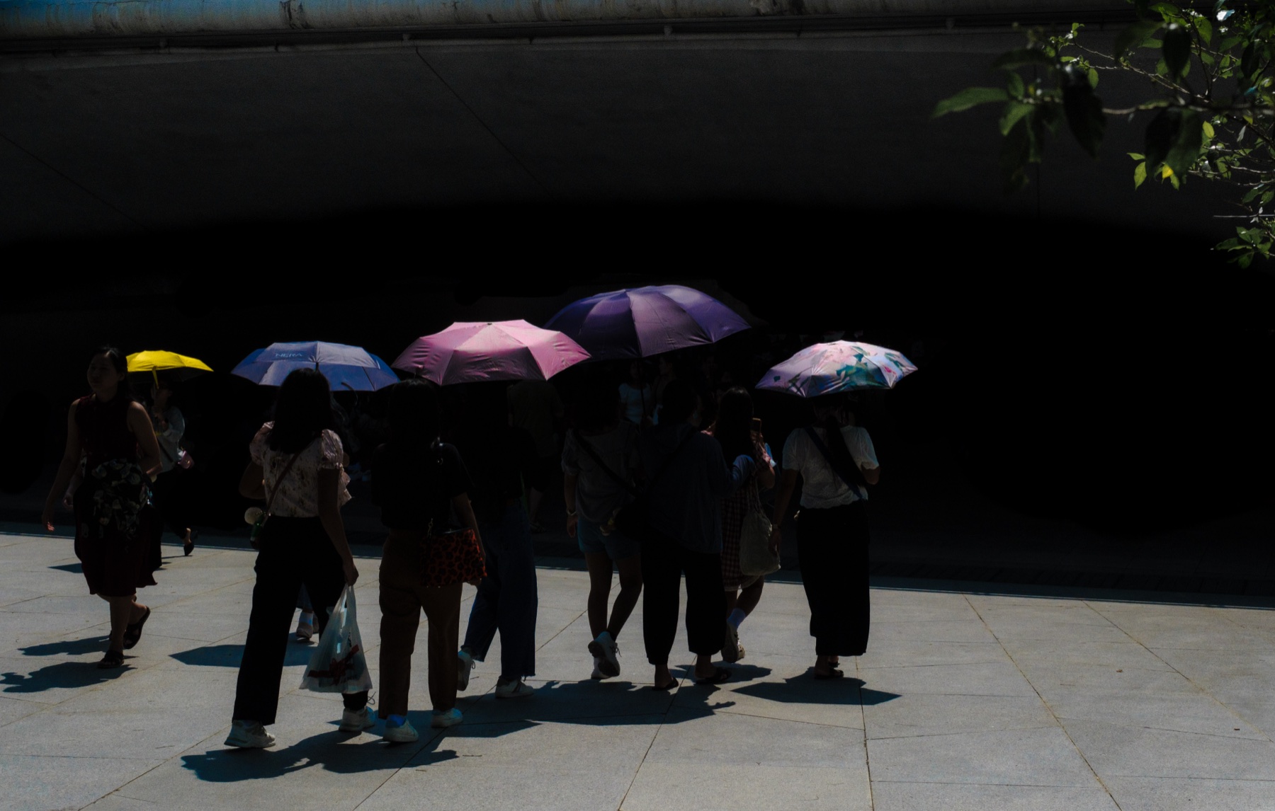 A cluster of colourful parasols crossing from sun into deep shadow